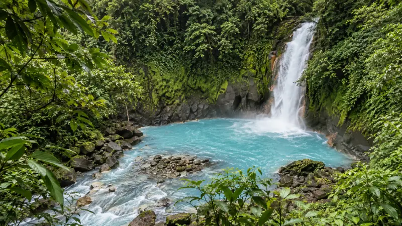 R&iacute;o Celeste waterfall flowing into a pale-turquoise pool surrounded by forest in Tenorio National Park.
