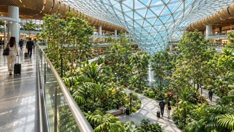 Passengers spend a layover among the tropical plants and walkways of ORCHARD at Hamad International Airport.