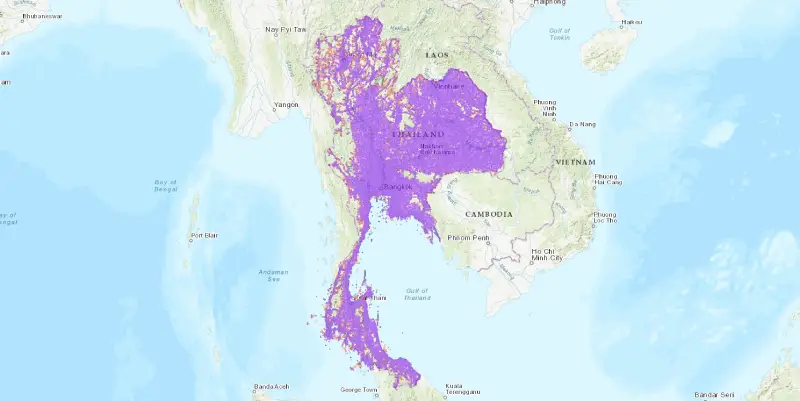 local networks in thailand