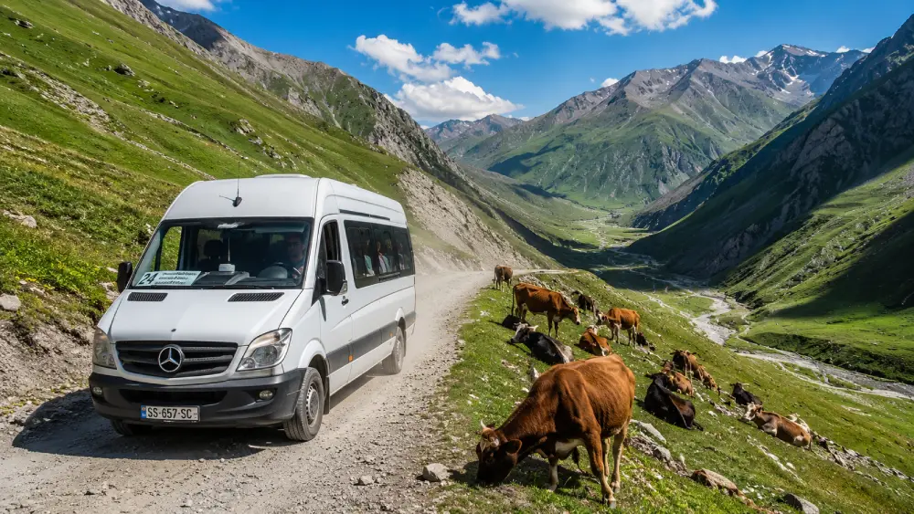 A white local minibus driving on a narrow, unpaved mountain road in the Caucasus mountains alongside a wandering herd of cows.